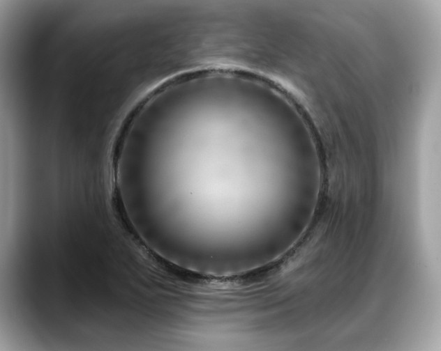X0000088731271200705311422
