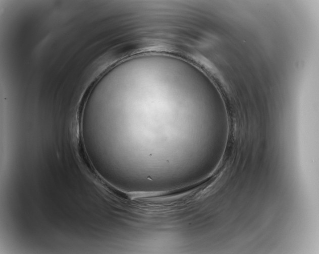 X0000088731274200705311422