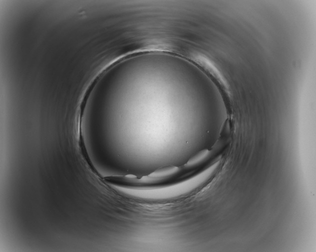 X0000088731276200705311422