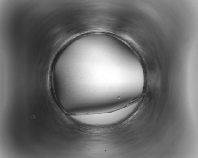 X0000088731278200705311422