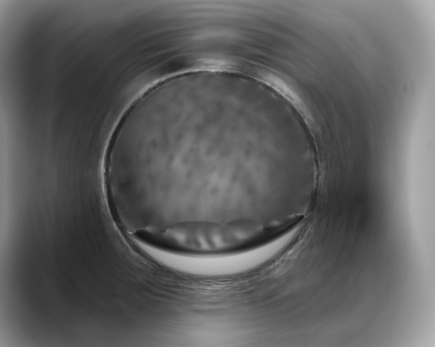 X0000088731283200705311422