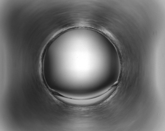 X0000088731286200705311422