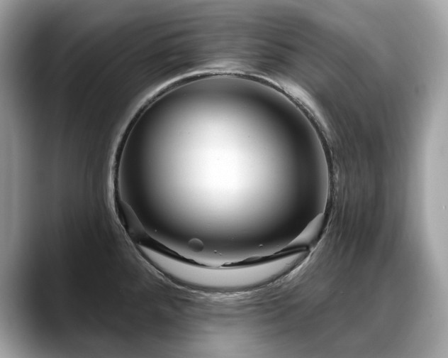 X0000088731288200705311422