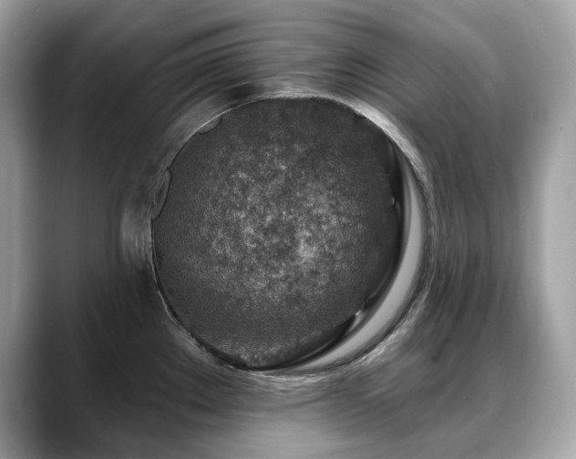 X0000088731289200705311422