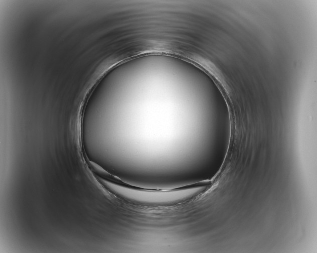 X0000088731290200705311422