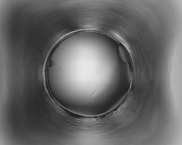 X0000088731291200705311422