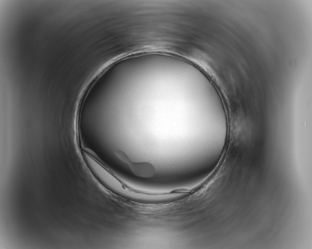 X0000088731294200705311422