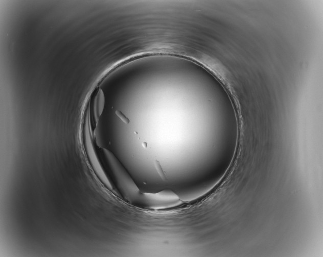 X0000088731296200705311422