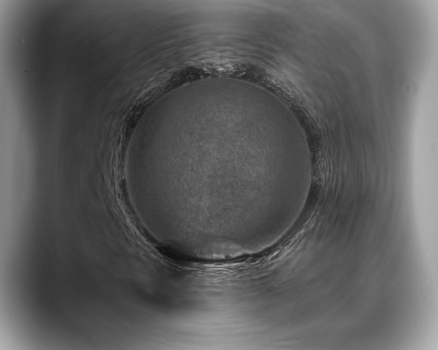 X0000088731297200705311421