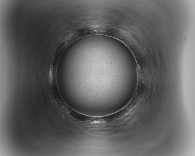 X0000088731298200705311421
