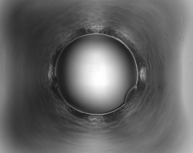 X0000088731299200705311421