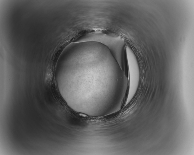 X0000088731300200705311421