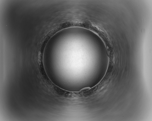 X0000088731301200705311421