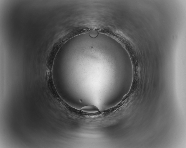 X0000088731302200705311421