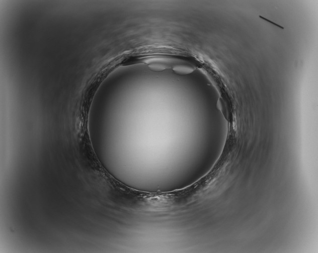 X0000088731303200705311421