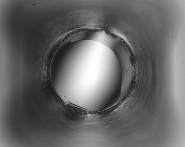 X0000088731304200705311421