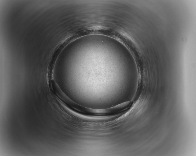 X0000088731305200705311421