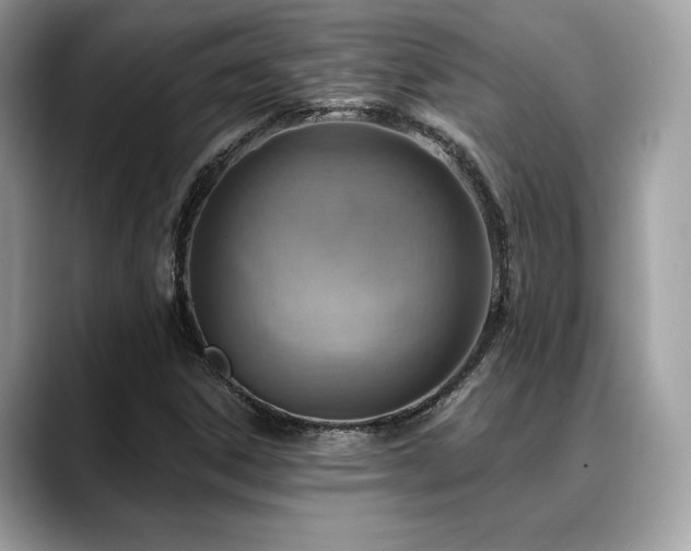 X0000088731306200705311421