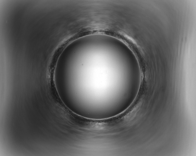 X0000088731309200705311421
