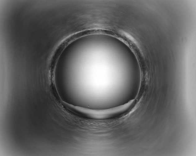 X0000088731310200705311421