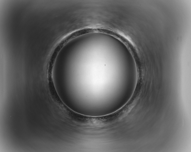 X0000088731311200705311421