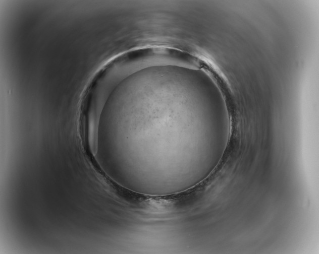 X0000088731312200705311421