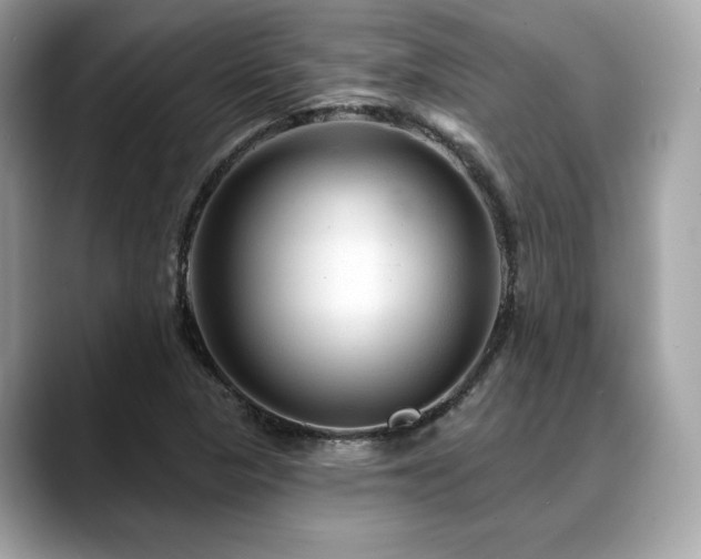 X0000088731313200705311421
