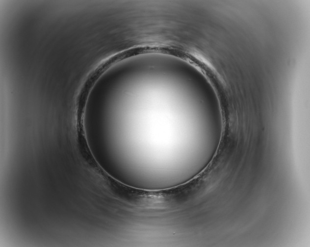 X0000088731315200705311421