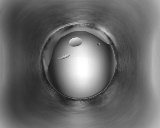 X0000088731316200705311421