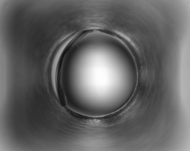 X0000088731317200705311421