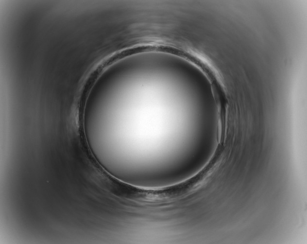 X0000088731318200705311421