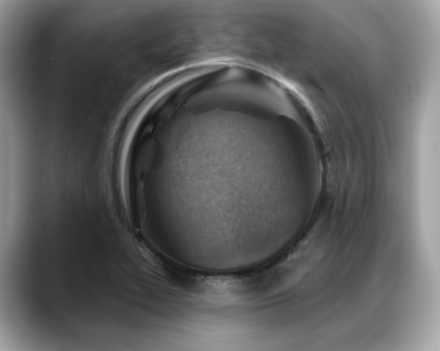 X0000088731319200705311421