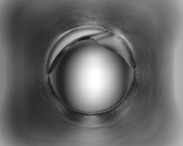 X0000088731320200705311421