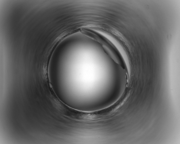 X0000088731321200705311421