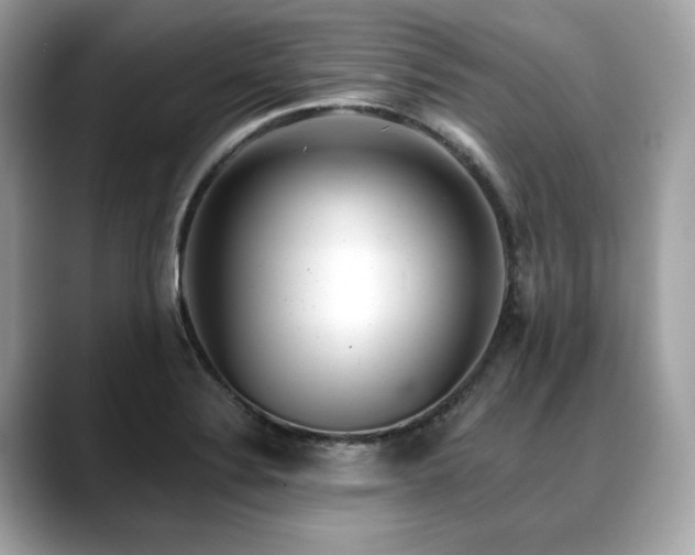 X0000088731324200705311421