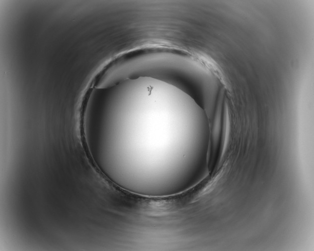 X0000088731326200705311422