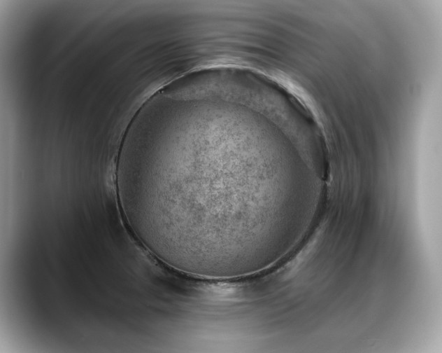 X0000088731329200705311422