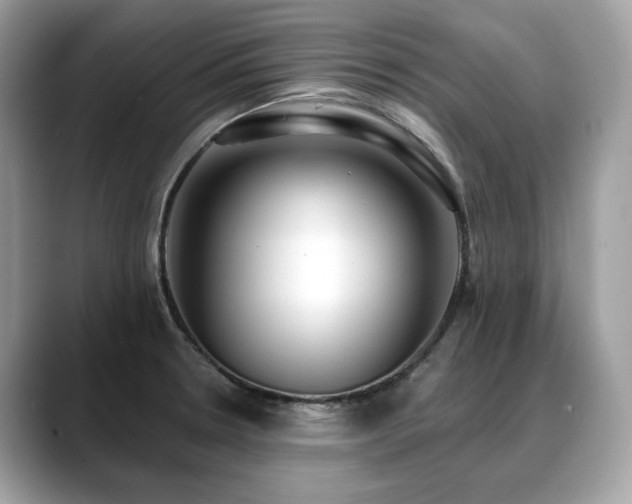 X0000088731330200705311422