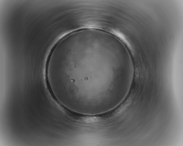 X0000088731331200705311422
