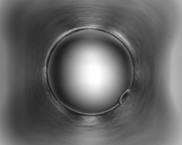 X0000088731332200705311422
