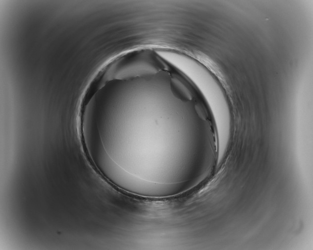 X0000088731334200705311422