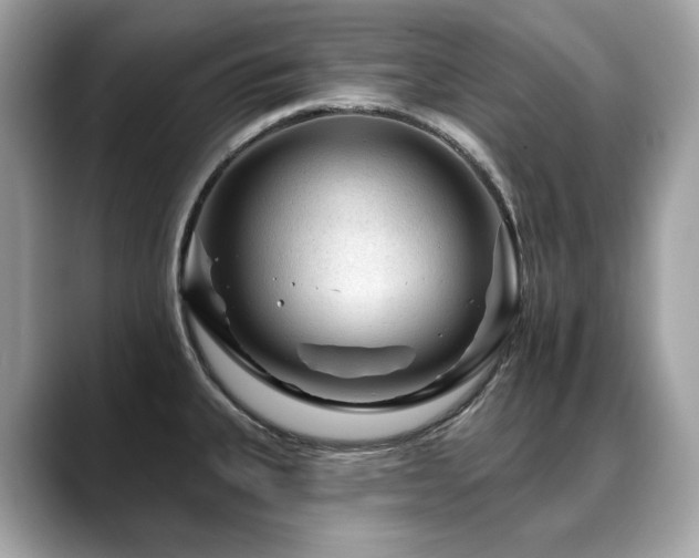 X0000088731335200705311422