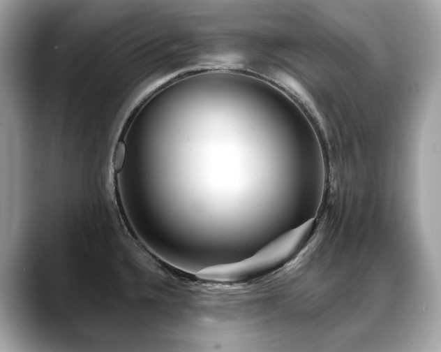 X0000088731336200705311422