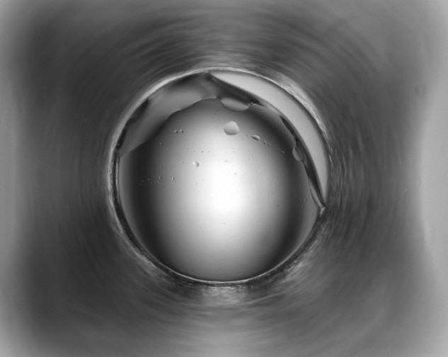 X0000088731339200705311422