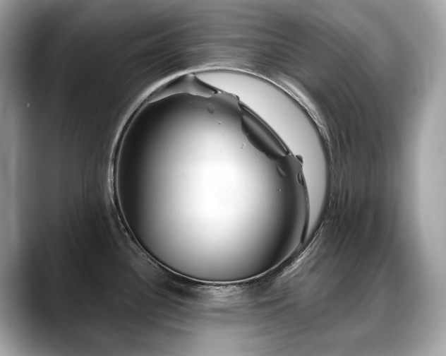 X0000088731340200705311422