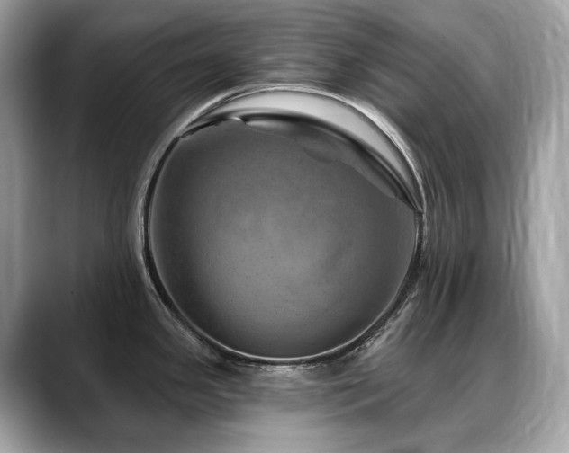 X0000088731341200705311422