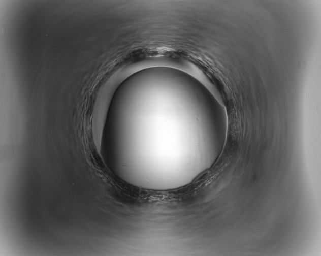 X0000088731345200705311421