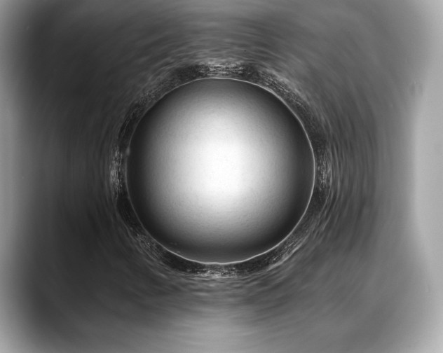 X0000088731346200705311421