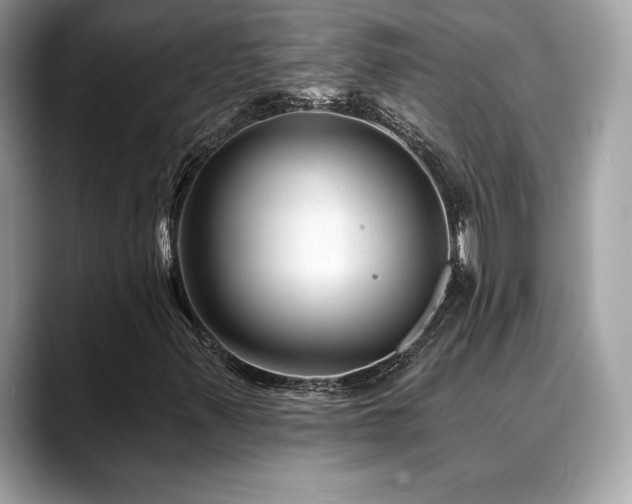 X0000088731347200705311421