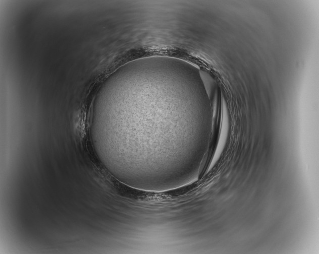 X0000088731348200705311421